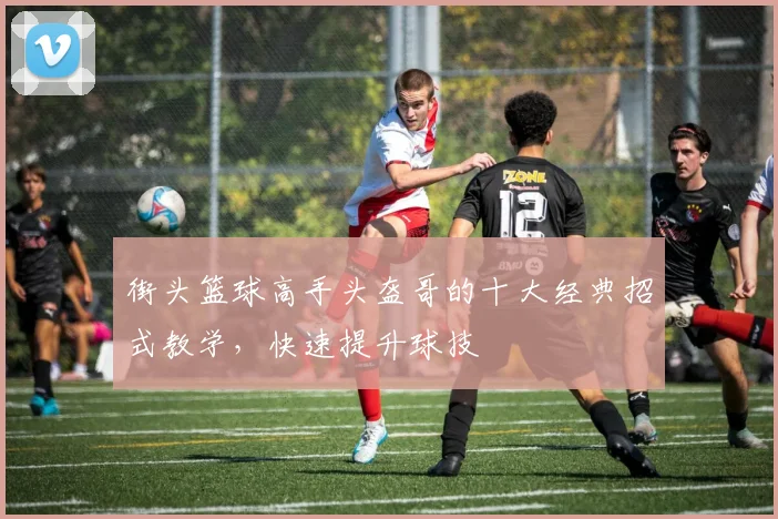 街头篮球高手头盔哥的十大经典招式教学，快速提升球技